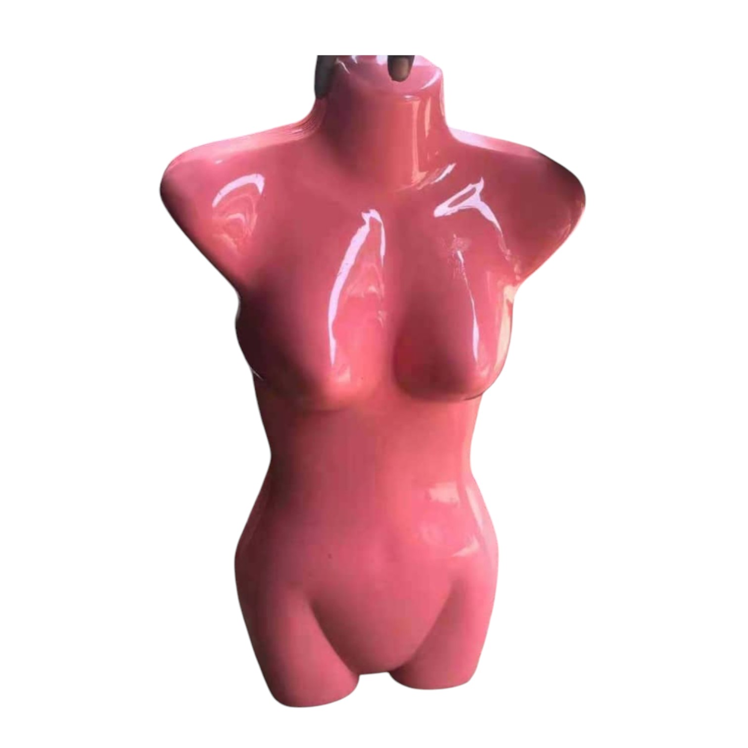 Sales Promotion Big Bust Model Female Plastic Hanging/ Body Form with Metal Hook Mannequins